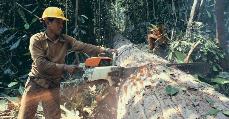 Say Goodbye to Wood And Hello to Melamine Faced Chipboards!