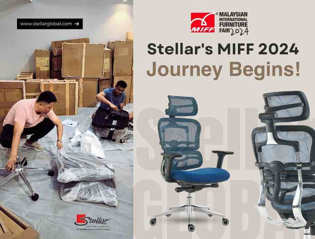 Stellar’s MIFF 2024 Journey Begins!